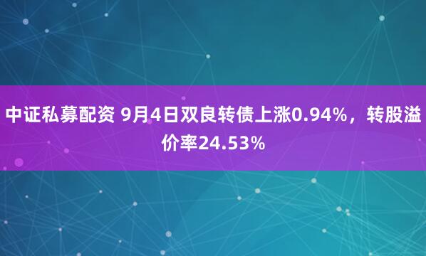 中证私募配资 9月4日双良转债上涨0.94%，转股溢价率24.53%