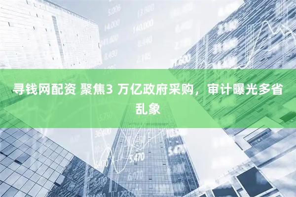 寻钱网配资 聚焦3 万亿政府采购，审计曝光多省乱象