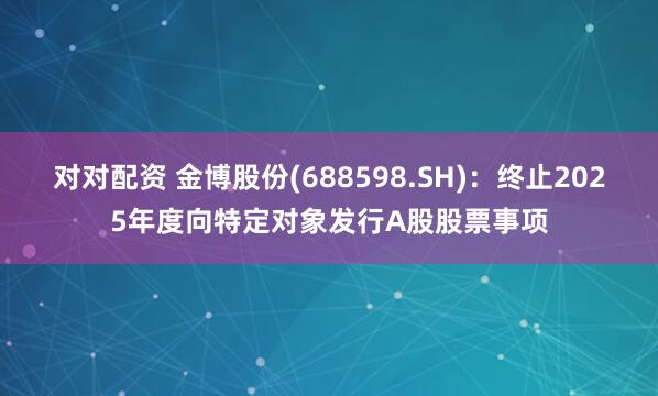 对对配资 金博股份(688598.SH)：终止2025年度向特定对象发行A股股票事项