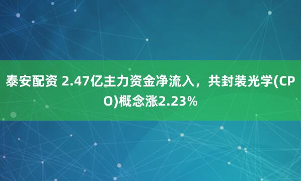 泰安配资 2.47亿主力资金净流入，共封装光学(CPO)概念涨2.23%