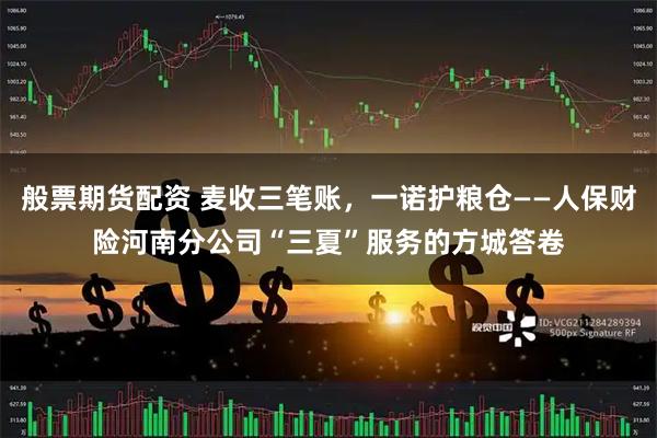 般票期货配资 麦收三笔账，一诺护粮仓——人保财险河南分公司“三夏”服务的方城答卷